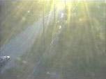 Image false1